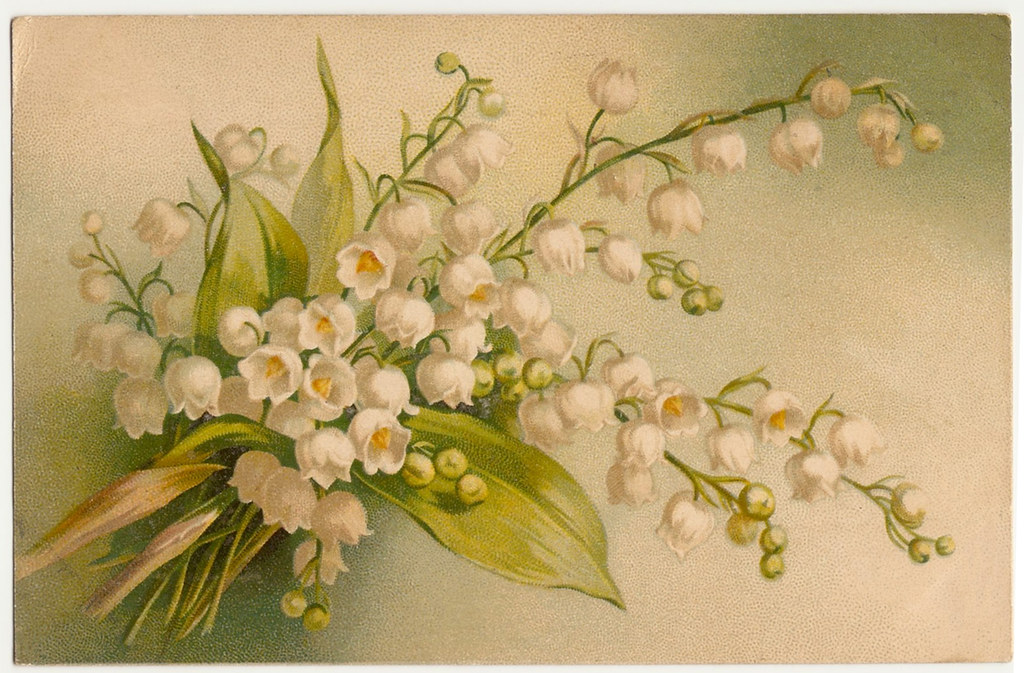 Lily-of-the-valley on an antique postcard.