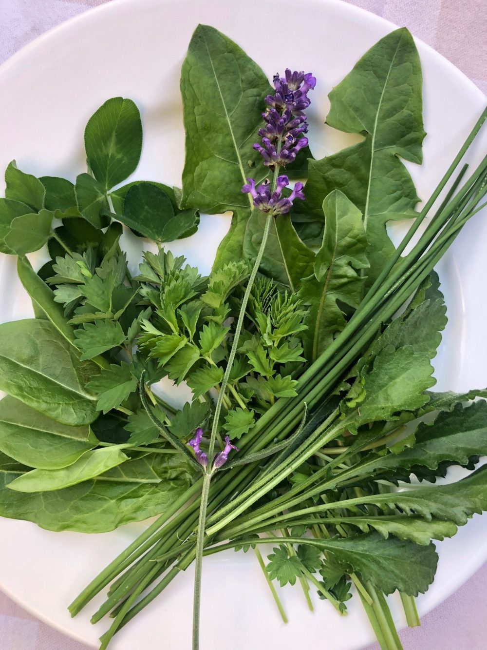 Wild Salad: Why should we Eat Foraged Greens?