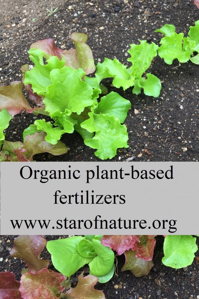 Organic Plant-based Fertilizers: pin.