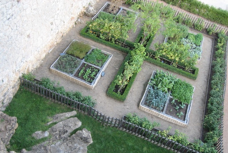 Medieval garden plants and layout.